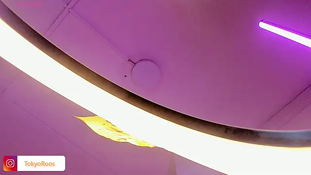 TokyoHaskel webcam