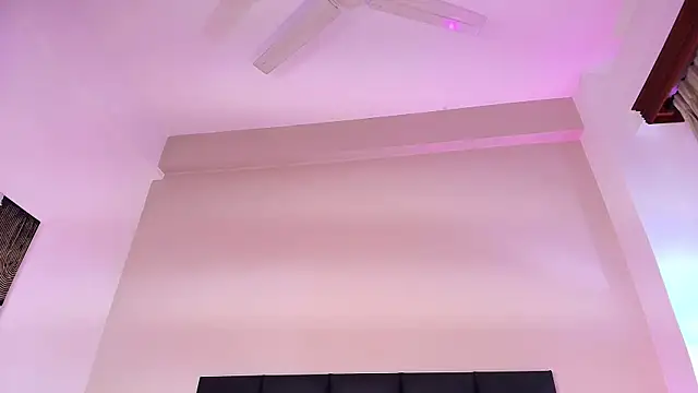 JupiteFox webcam