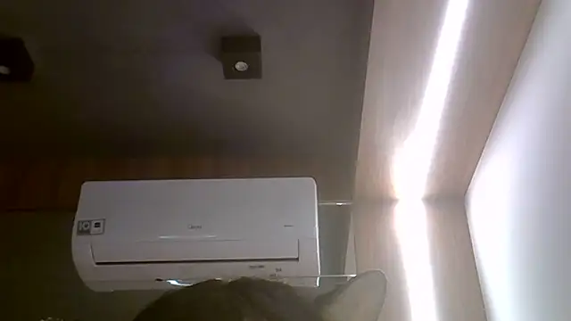 SkinnyKitten webcam