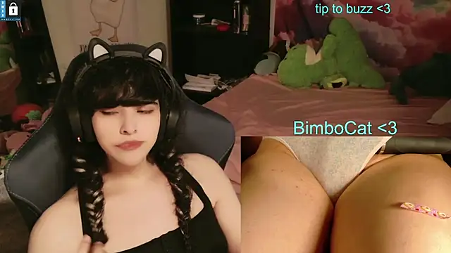 BimboCat webcam