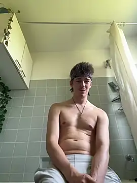 Toyjungee webcam