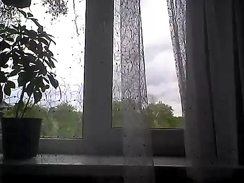 Littlecatme webcam