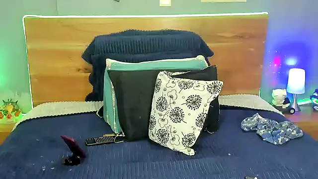 Prometeo-grizzly webcam