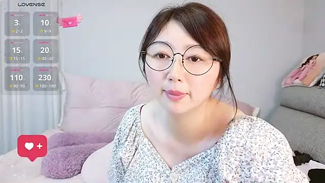 Diva_VVN webcam
