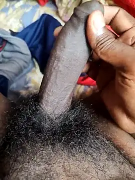 Paramkeerthi webcam