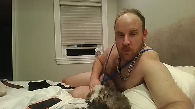 BeefyNcloudy webcam