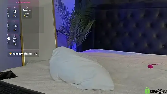 leadaisy webcam