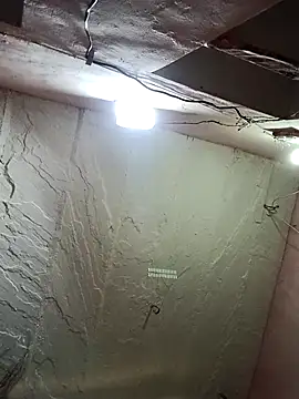Deepjakolirr webcam