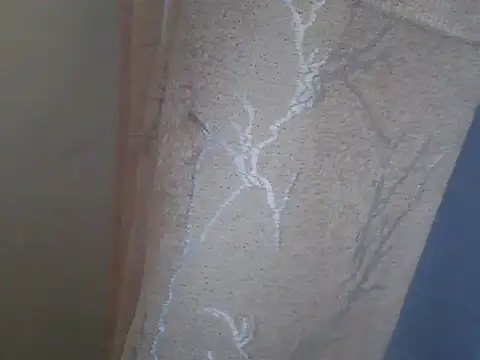 sexy_dove webcam