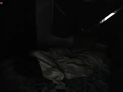 black_tsx webcam