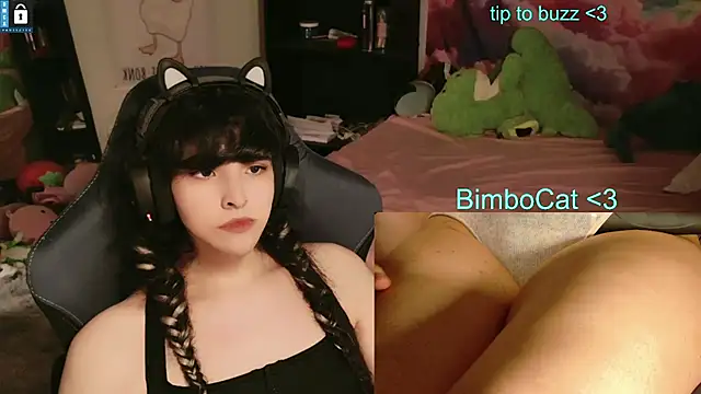 BimboCat webcam