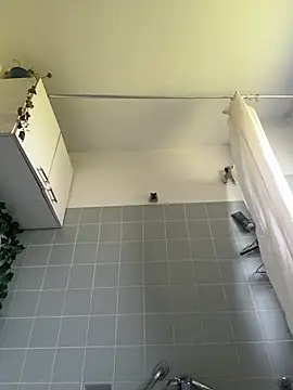 Toyjungee webcam