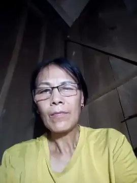 toyo_668 webcam
