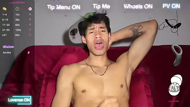 Pickmenx webcam