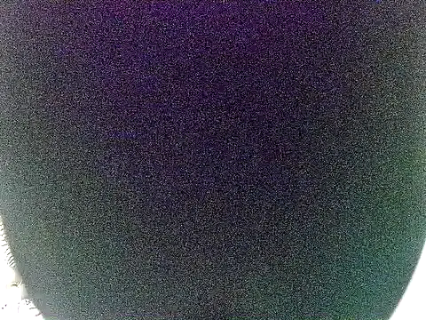 annex_b webcam