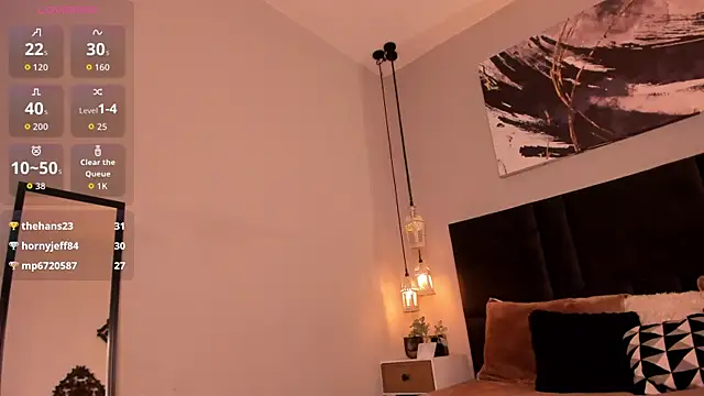 evazul webcam