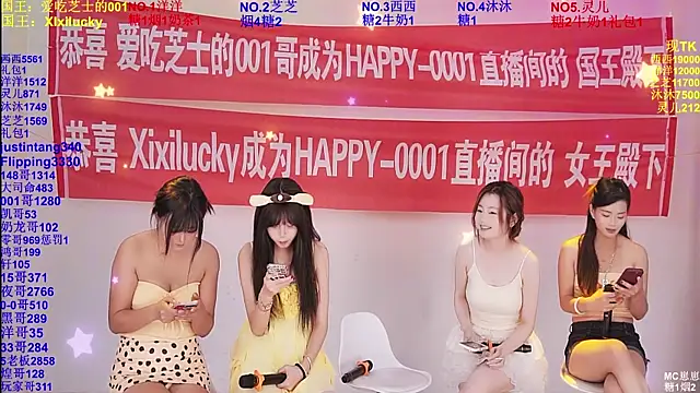HAPPY-0001 webcam
