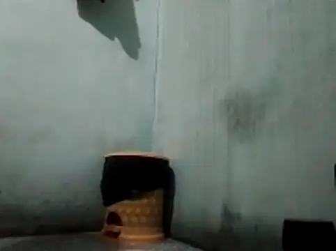 thichgaidambu webcam
