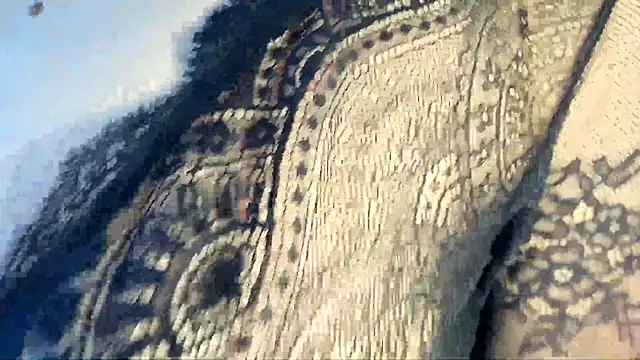 Vanillezucker webcam