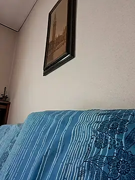Sony28v webcam