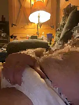 CheesyBox530 webcam