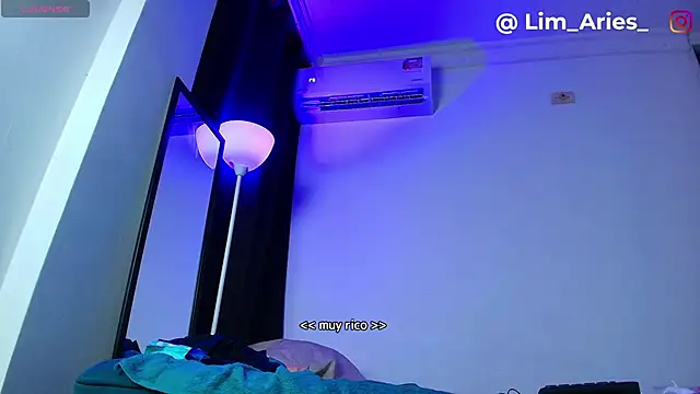 lim_aries webcam