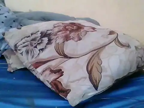 hilsoother webcam