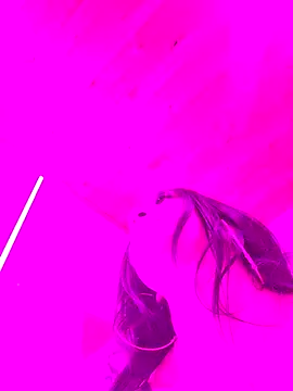 LilySweet__ webcam
