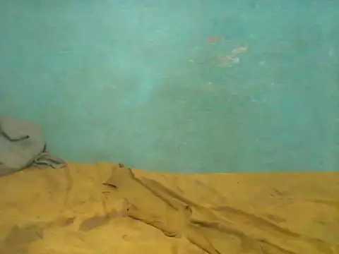 little__joy webcam