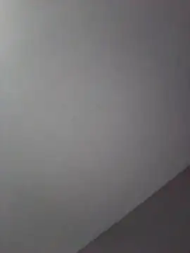 1phenom webcam
