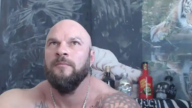 viking_30 webcam
