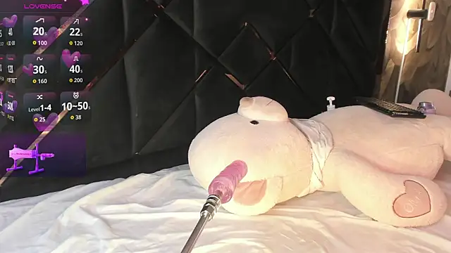 KaelSoft_ webcam