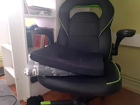 feathersify webcam