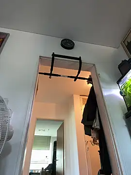 Toyjungee