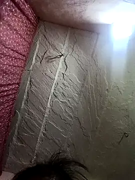 Deepjakolirr webcam