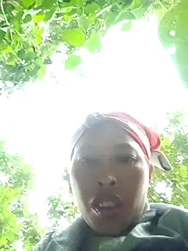 NIANIAKUTE webcam