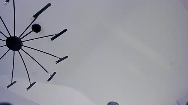 ElviraGounder webcam