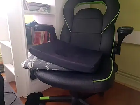 feathersify webcam