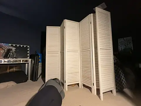 wynterheat webcam