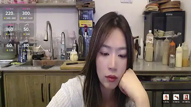 2026wq webcam