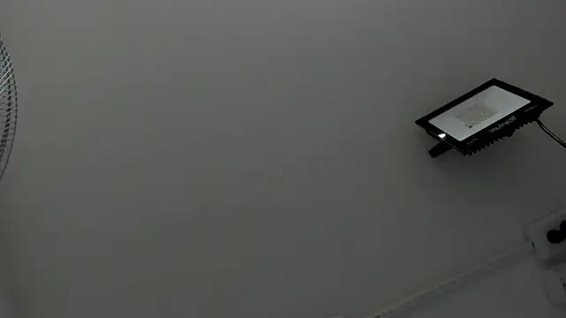 NataliaCollinslim webcam