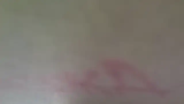 fmodel webcam