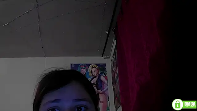 StarElii webcam