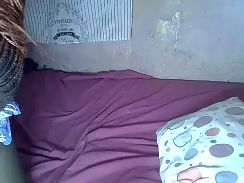 tashlin webcam
