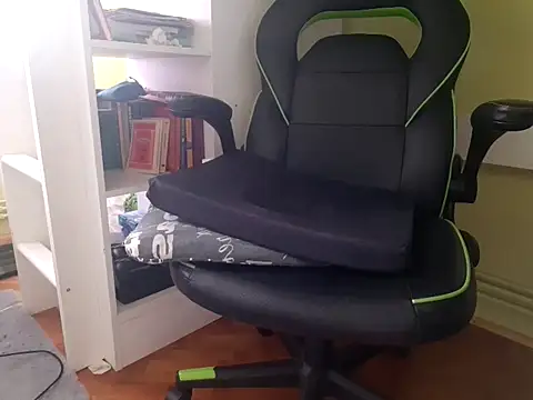 feathersify webcam
