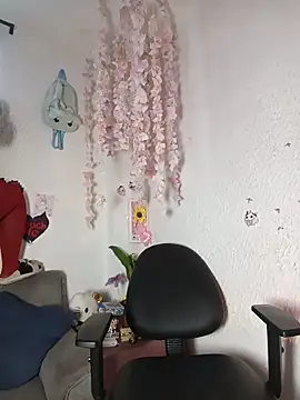 Kuutar webcam