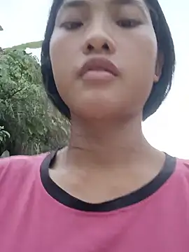 Hoa-tuylip webcam