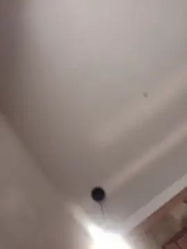 MeelFox webcam
