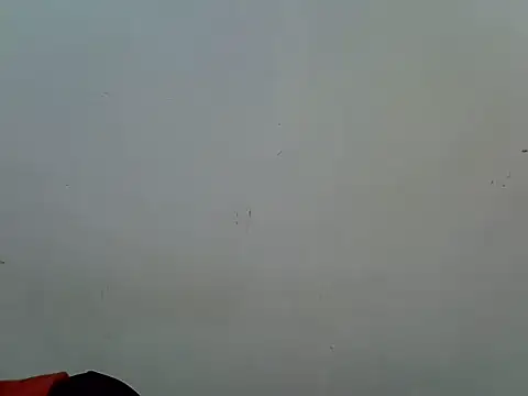 pretty_tallgirl webcam