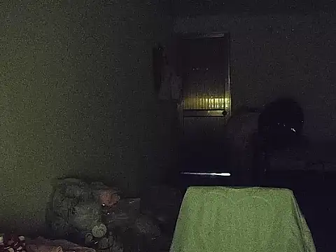 RebelAura webcam